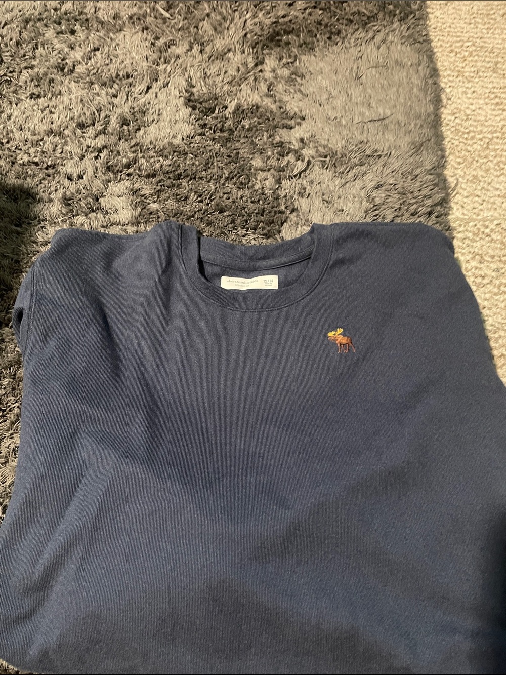 abercrombie kids Navy Blue Sweatshirt with Small Moose Embroidery